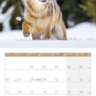 Kalenderseite für Dezember 2027. Bild: Wolf läuft durch Schnee vor unscharfem Waldhintergrund.