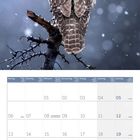 Kalender mit Wochentagen, Feiertagen und Adventssonntagen. Oben ein Foto einer Eule im Schnee.