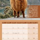 Text: "Ich bin vielleicht nicht dorthin gegangen, wo ich hinwollte, aber ich glaube, ich bin dort gelandet, wo ich sein wollte." Ein flauschiges, braunes Lama steht vor einem Bergpanorama. Darunter ist ein Monatskalender für Dezember 2027.