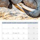 Ein Kalender mit einem Elefanten. Die Tage und Wochen sind nummeriert. Ein Elefant hebt mit dem Rüssel Holz.