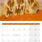 Kalenderblatt Dezember 2027 mit Erdmännchen, die auf rotem Sand stehen, und einem blauen Himmel im Hintergrund.