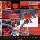 "Colours of Nature 2027" in weißer und roter Schrift. Verschiedene Naturaufnahmen in Rottönen, darunter Tiere und Landschaften.