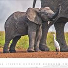 "12" und Kalenderdaten unten. Ein junger Elefant mit hochgestrecktem Rüssel, steht neben einem großen Elefanten und einem Vogel.