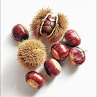 Text: „Dezember“. Darstellung von Kastanien und stacheligen Kastanienschalen auf hellem Hintergrund.