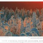 Ohne Titel. "Winter in Finnland, Bäume mit Schnee bedeckt, magisches Licht", Kalender für Dezember.