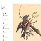 August, 31. Woche, Montag 2, Sonntag 8. Illustration eines Bunts in leuchtenden Farben auf einem Ast.