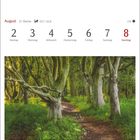 August 31. Woche. 2.–8.: Buchen im Märchenwald auf Rügen, Pfad durch grüne, verwachsene Bäume und Gras.