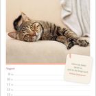 Kalenderseite mit einer Katze auf einem Sofa. Zitat: "Wenn die Seele bereit ist, sind es die Dinge auch." William Shakespeare.
