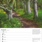 August, 31. Woche. Zitat: „Man kann auf dem richtigen Weg sein, aber nicht der richtige Mensch für diesen Weg.“ Märchenwald Rügen.