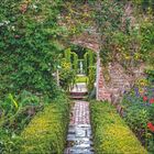 Juli/August Kalender, Spannung im Garten. Ein blühender Garten mit Mauer und Torbogen, umrahmt von grünen Pflanzen.