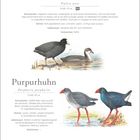 "Blässhuhn", "Purpurhuhn", Illustrationen von beiden Vögeln, Kalendereinträge für März: 15. bis 21., inklusive Frühlingsanfang.