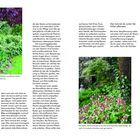 "Die Unterpflanzung" ist der Hauptext. Drei Fotos von Pflanzen unter Bäumen begleiten den Artikel. Ein Tipp: Bodendecker, wie Storchschnabel, eignen sich gut.