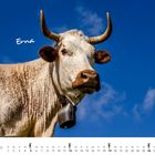 Text „Erna“ und „Dezember“ über einem Foto einer Kuh mit Glocke vor blauem Himmel.