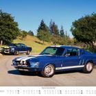 Dezemberkalender mit zwei blauen Ford Mustang Shelby GT Autos auf einer Landstraße, umgeben von Bäumen und blauem Himmel.