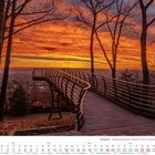 „Wuppertal – Morgendämmerung am Skywalk im Barmer Nordpark“. Ein Skywalk führt über eine bewaldete Landschaft bei Sonnenaufgang.