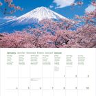 Kalenderseite für Januar mit Wochentagen in mehreren Sprachen. Oben rosa Blüten und schneebedeckter Berg unter blauem Himmel.