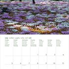 Kalenderseite für Juli 2027. Waldansicht mit violetten und weißen Blumen bedeckt den Boden.