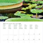 Kalenderseite für April, darauf ein Teich mit Lilien und großen grünen Blättern.