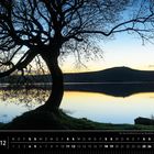 "Der See von Brennilis vor der Bergkette der Monts d'Arrée, Finistère". Baum am Ufer, im Hintergrund ein Hügel bei Sonnenaufgang.