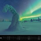 Skandinavien 12. Vereiste Bäume unter grünlichen Polarlichtern, Sternenhimmel im winterlichen finnischen Lappland.