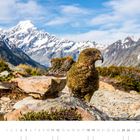 "Kea vor dem Aoraki / Mount Cook (Südinsel). Kalenderseite mit Zahl '12'. Ein Kea auf felsigem Terrain, Berge im Hintergrund."