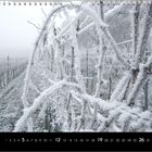 Kalenderseite mit Dezember. Vereiste Reben in einem Weinberg. Winterliche, neblige Landschaft in Weißtönen.