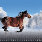 Kalendermonat mit Zahlen und Wochentagen unten. Ein braunes Pferd galoppiert durch verschneite Landschaft.