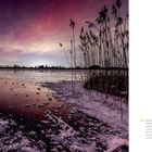 Eichsee und Walchensee, 2. Januar 2025, 19:25 Uhr. Bild einer Landschaft mit vereistem Ufer und rotem Himmel.