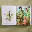 Text über Pflanzen. Links Illustration mit gemischten Blumen, rechts Foto von üppigen, herbstlichen Pflanzen auf Leinen.