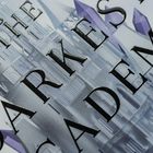 Text: „The Darkest Academy“. Darstellung einer gotischen Burg mit violetten Kristallen.