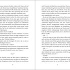 Seite 20 und 21 eines Buchs mit einer Erzählung über Dante, Helene, und einen Konflikt bezüglich eines Hotels in den Alpen.