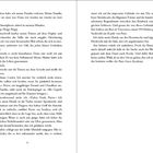 Seite mit einem literarischen Text über den Verlust einer Familie, Trauer und Rache sowie die "Pure Grace Academy".