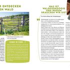 "Kinder entdecken den Wald", "Was ist Waldpädagogik und warum brauchen wir sie?", Foto mit drei Personen vor einem Holzzaun.