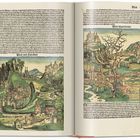 Zwei farbige Illustrationen zeigen mittelalterliche Städte, umgeben von Hügeln. Oben Textpassagen, darunter Überschriften: „Von den Türcken“ und „Von macedonia“.