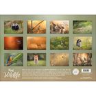 Texte: "Begegnungen", "Sorge", "kleine Probleme der Welt", "ewige Sehnsucht", "Das Herz", "vergolden". Naturkalender mit Tierfotos.