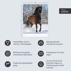 "Made in Europe" steht in der rechten oberen Ecke. Ein Kalender zeigt ein Pferd im Schnee. Icons beschreiben Eigenschaften.