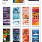 "Colour Triplets" mit Fotos: Papagei, Winterlandschaft, Blumen, Natur. Verschiedene Layouts nebeneinander in einem Katalogformat.