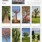 "Korsch Verlag. Bäume. Made in Germany. Artikel-Nr. 207027. Verschiedene Baumarten in allen Jahreszeiten."