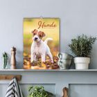 „Hunde 2027“ steht auf einem Kalenderbild mit einem süßen Welpen. Scoutumgebung mit Pflanzen und Tassen auf einem Regal.