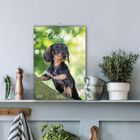Text "Dackel: Dachshund / Teckel / Bassotto. 2027". Ein Kalenderbild mit einem Dackelwelpen auf einem Baumstamm.