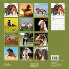 Zwölf Pferdebilder in einem Kalender. Januar 2022 Kalenderblatt. Unten: "Korsch Verlag" Logo und "Made in Germany".