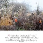 NOVEMBER: Kein Schatten, keine Sonne... Zitat von Thomas Hood. Kalenderwoche, Natur im Nebel mit trockenen Pflanzen.