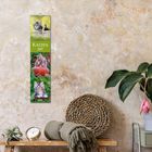 Text: „KATZEN 2027“. Ein Kalender mit Katzenbildern hängt an der Wand. Daneben eine Pflanze und Deko auf einem Tisch.
