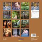 KALENDER 2023. Januar 2023. Bilder: Landschaften mit Bäumen, Wasserfällen, Waldwegen und Lichtstrahlen. KORSCH VERLAG Logo.