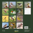 JANUAR 2022 mit Kalendertagen. Zwölf Vögel, darunter Fink, Rotkehlchen, auf grünem Hintergrund plaziert. "KORSCH VERLAG".