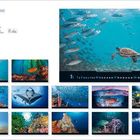 "Magie der Meere." Kalender mit beeindruckenden Unterwasseraufnahmen: Fische, Schildkröten, Korallen und Meerestiere in leuchtenden Farben.