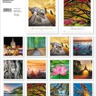 "Buddhistische Weisheiten", "Kontemplation", "Wandel". Verschiedene Bilder zeigen Buddhastatuen, Natur und Tempel.
