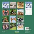 Zwölf Tierfotos in einem Raster, darunter Pinguine, Tiger, Flamingos, Giraffen, Pandas, alle auf grünem Hintergrund.