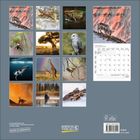 JANUAR 2027. KORSCH VERLAG, MADE IN GERMANY. Ein Wandkalender mit Naturfotos: Tiere, Landschaften wie Giraffen und Wale.