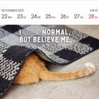 November 2027 Kalender für die Woche ab dem 22. Ein orangefarbener Katzenschwanz ragt unter einem Teppich hervor.